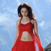 Tamanna Exclusive Gallery From Oosaravelli Movie | Picture 171997