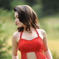 Tamanna Exclusive Gallery From Oosaravelli Movie | Picture 172003