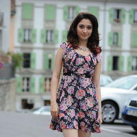 Tamanna Exclusive Gallery From Oosaravelli Movie | Picture 172029