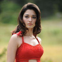 Tamanna Exclusive Gallery From Oosaravelli Movie | Picture 172031