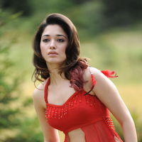 Tamanna Exclusive Gallery From Oosaravelli Movie | Picture 172033