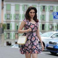 Tamanna Exclusive Gallery From Oosaravelli Movie | Picture 172036