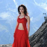 Tamanna Exclusive Gallery From Oosaravelli Movie | Picture 172037