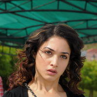 Tamanna Exclusive Gallery From Oosaravelli Movie | Picture 172039
