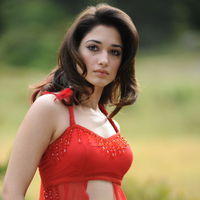 Tamanna Exclusive Gallery From Oosaravelli Movie | Picture 172041
