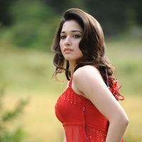 Tamanna Exclusive Gallery From Oosaravelli Movie | Picture 172042