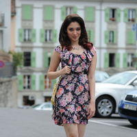 Tamanna Exclusive Gallery From Oosaravelli Movie | Picture 172043