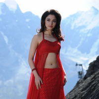 Tamanna Exclusive Gallery From Oosaravelli Movie | Picture 172045