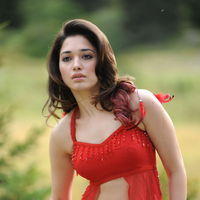 Tamanna Exclusive Gallery From Oosaravelli Movie | Picture 172049