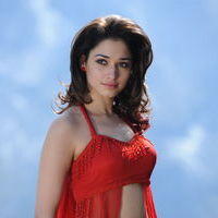 Tamanna Exclusive Gallery From Oosaravelli Movie | Picture 172051
