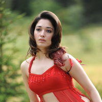 Tamanna Exclusive Gallery From Oosaravelli Movie | Picture 172053