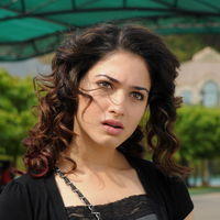 Tamanna Exclusive Gallery From Oosaravelli Movie | Picture 172056
