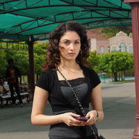 Tamanna Exclusive Gallery From Oosaravelli Movie | Picture 172058