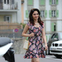 Tamanna Exclusive Gallery From Oosaravelli Movie | Picture 172067