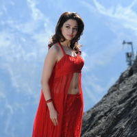 Tamanna Exclusive Gallery From Oosaravelli Movie | Picture 172068