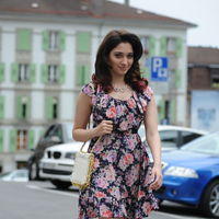 Tamanna Exclusive Gallery From Oosaravelli Movie | Picture 172069