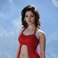 Tamanna Exclusive Gallery From Oosaravelli Movie | Picture 172073