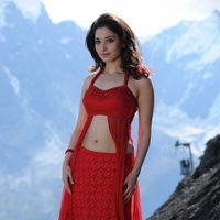 Tamanna Exclusive Gallery From Oosaravelli Movie | Picture 172076