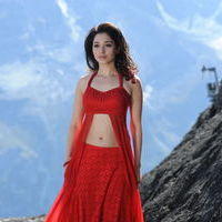 Tamanna Exclusive Gallery From Oosaravelli Movie | Picture 172077