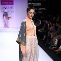 Final day of Lakme Fashion Week winter festive 2012 - Photos | Picture 246419