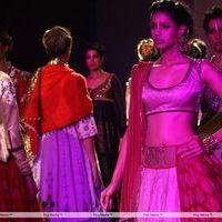 Anju Modi and Manish Arora show at the Delhi Couture Week 2012 - Stills | Picture 248560