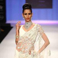 Model walked the ramp at the India International Jewellery Week 2012 on day 3 - Photos | Picture 257964