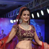 Ameesha Patel - Celebs and Models at HVJ Fashion Show - Stills