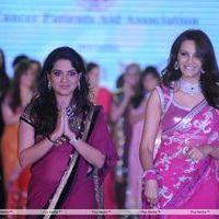 Pidilite presents Manish and Shaina NC show in aid of CPAA - Stills | Picture 221139