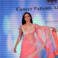 Pidilite presents Manish and Shaina NC show in aid of CPAA - Stills | Picture 221146