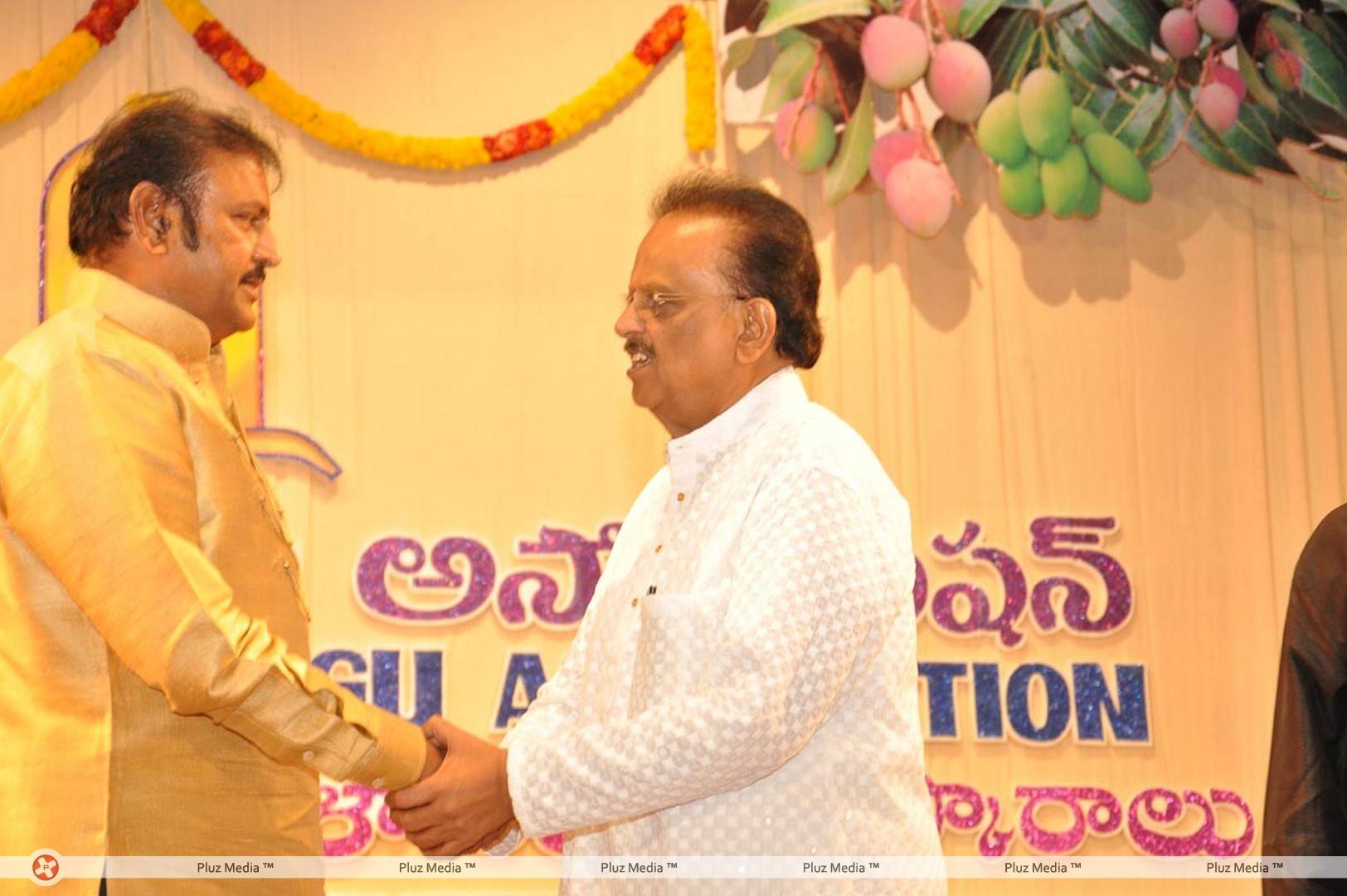 Sri Kala Sudha Telugu Association Awards Photos | Picture 428313