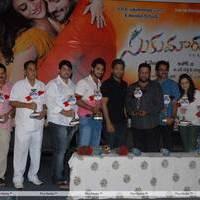 Sukumarudu Movie Triple Platinum Disc Function Pictures | Picture 454307
