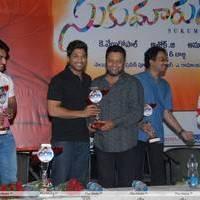 Sukumarudu Movie Triple Platinum Disc Function Pictures | Picture 454354